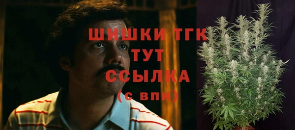 Альфа ПВП Медвежьегорск