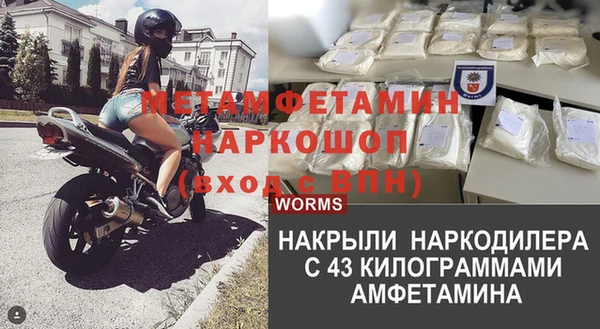 крисы Мегион