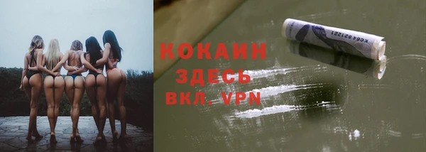крисы Мегион