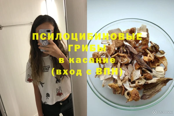 Альфа ПВП Медвежьегорск