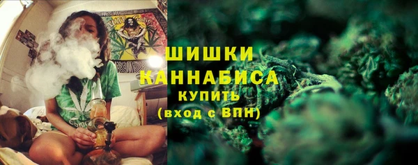 крисы Мегион