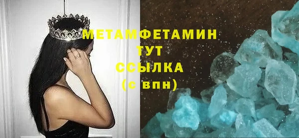крисы Мегион