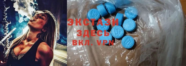 крисы Мегион