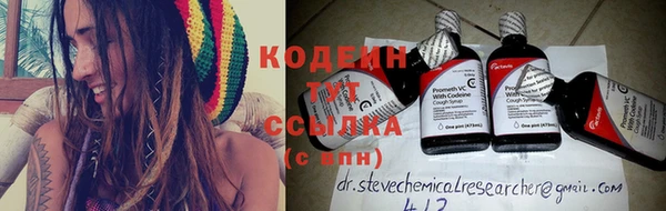 крисы Мегион