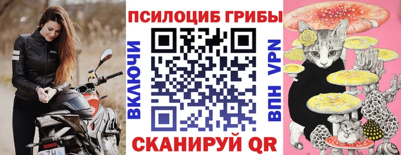Галлюциногенные грибы Psilocybe Тейково