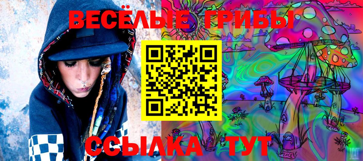 Псилоцибиновые грибы Cubensis Тейково