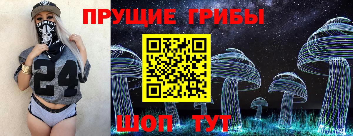 дарнет шоп  Вход с VPN  Тейково  Галлюциногенные грибы GOLDEN TEACHER 